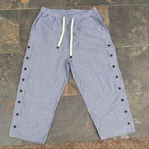 Striped Blue and White Button Pants